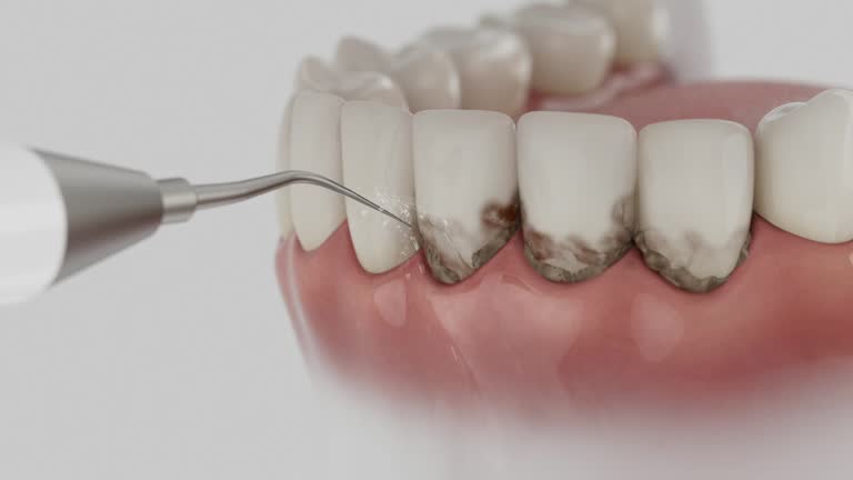 Reliable Dental contractor in Lynchburg, MS by Dentist Open Now